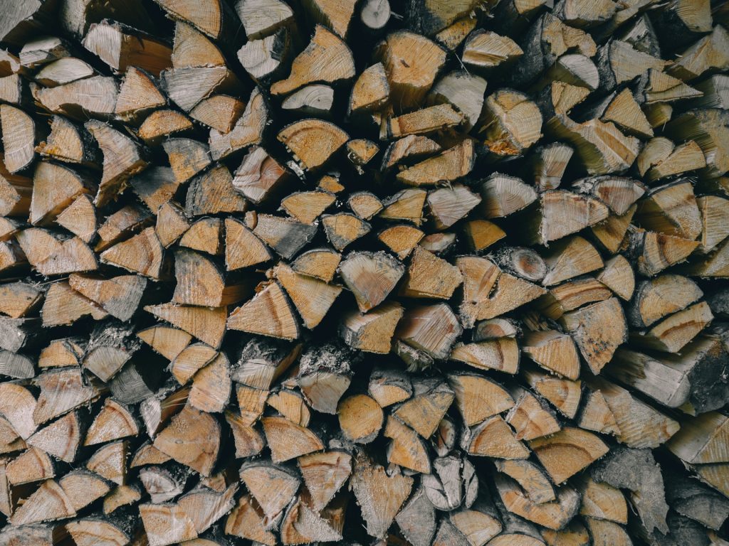 andrew ridley a4uPQcJkAL8 unsplash